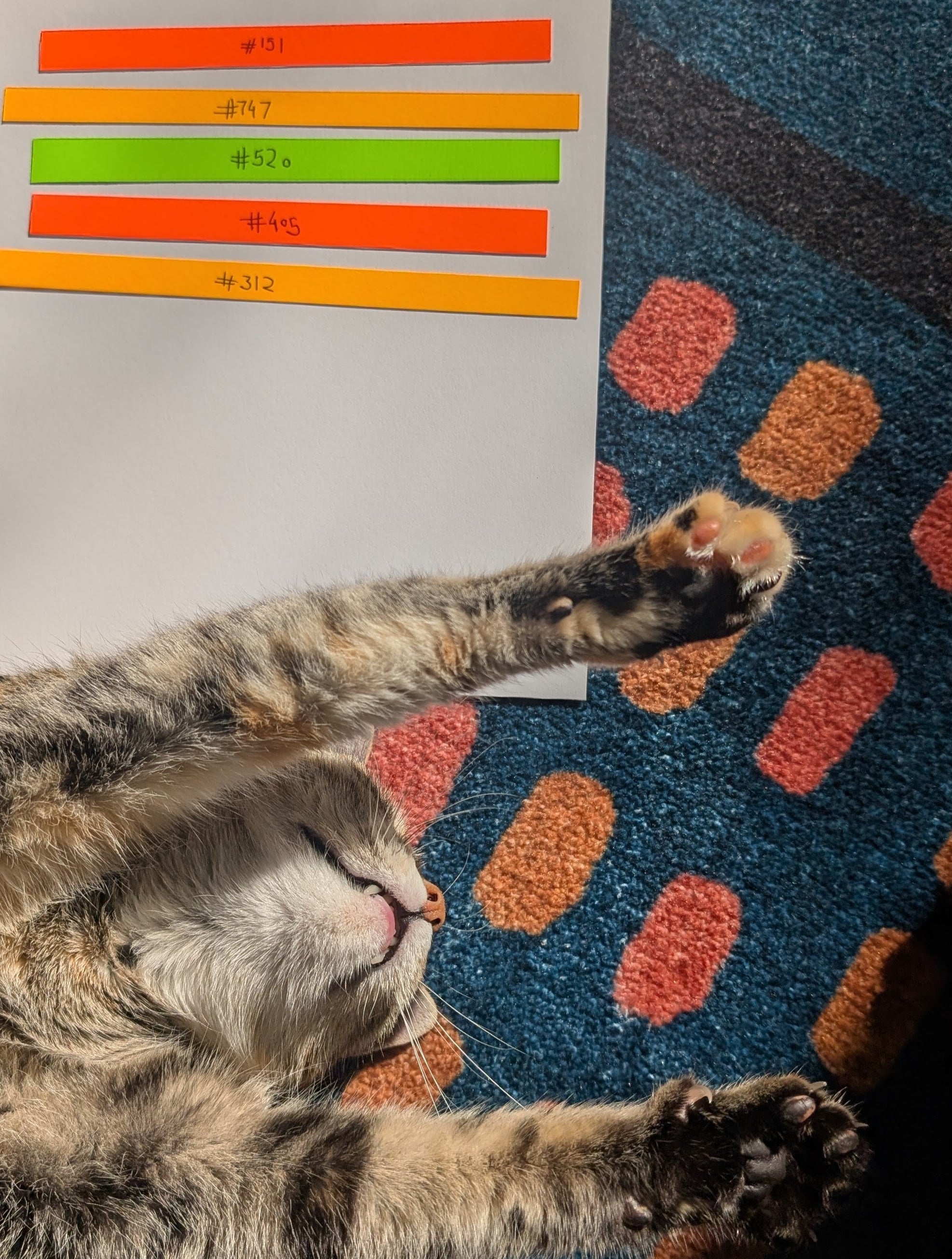 mystery messages in a pouch by loveleen-2