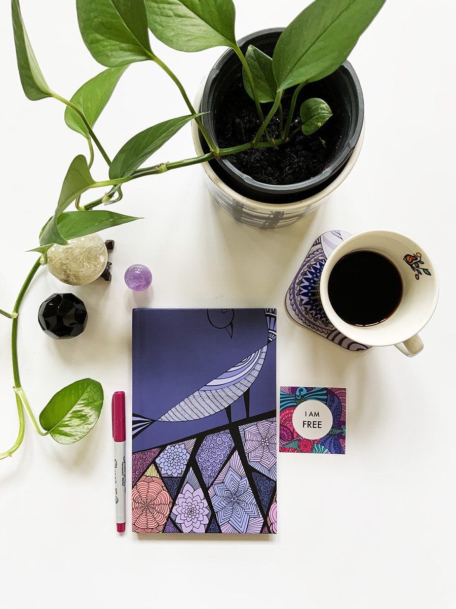2022-journal-book-of-wins-celebrate