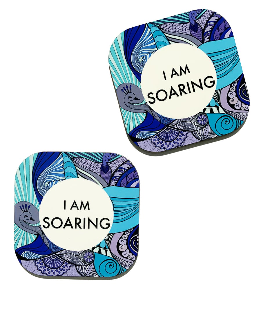 COASTERS-I AM-soaring-2