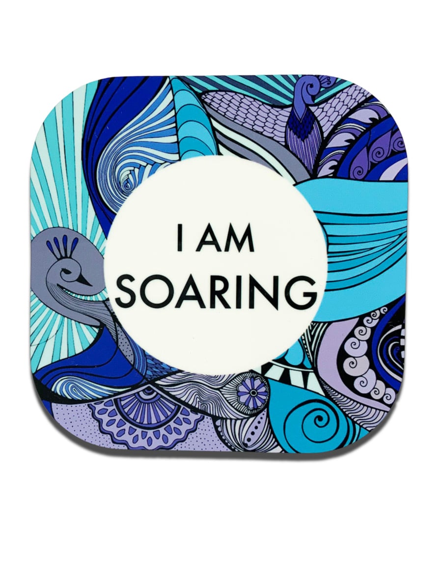 COASTERS-I AM-soaring-3