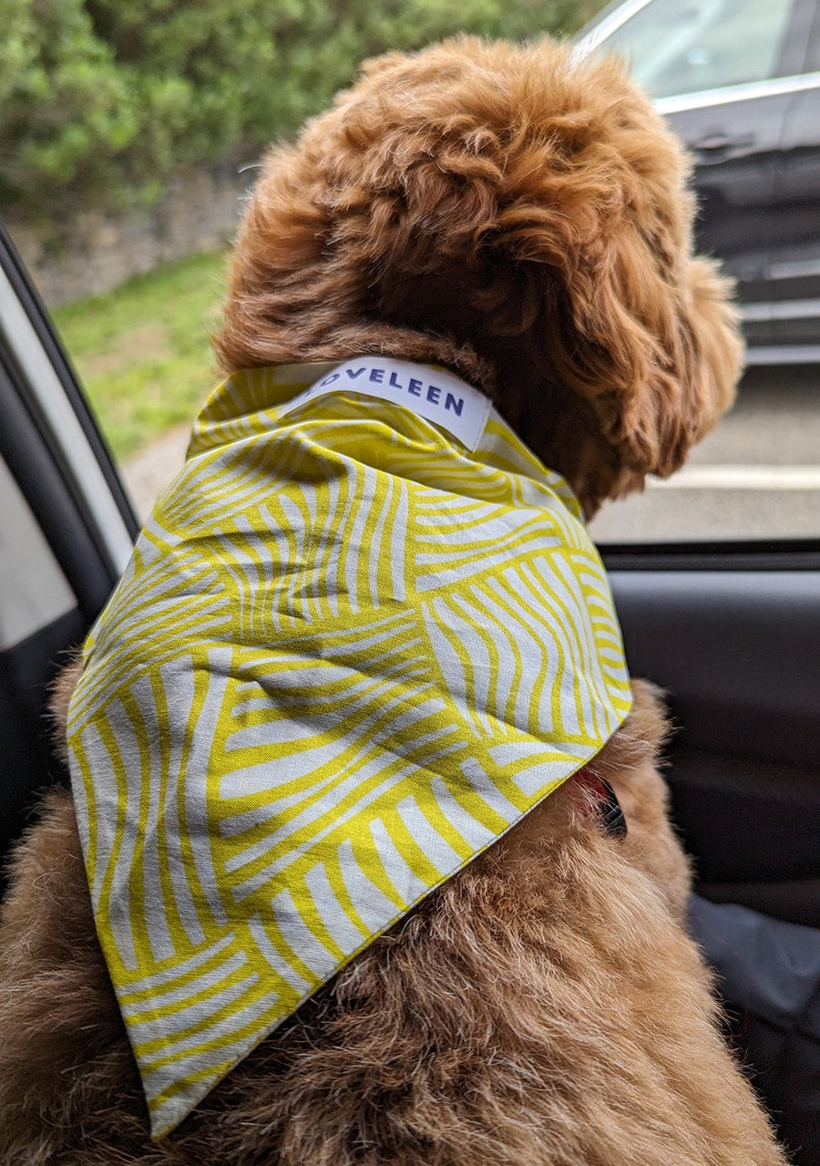 pet-bandana-yellow-playful-spirit