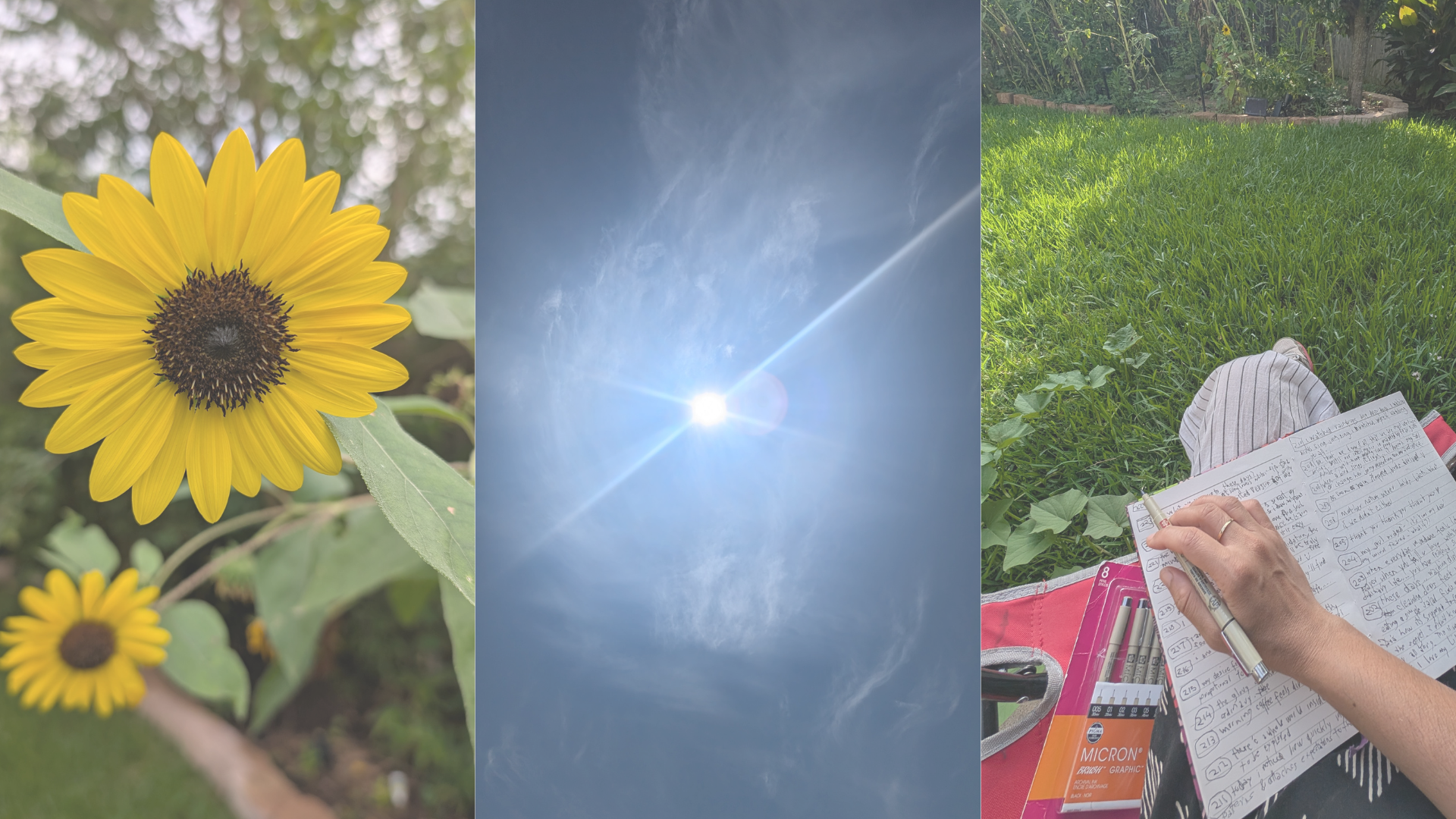 slow_morning_collective_page_header