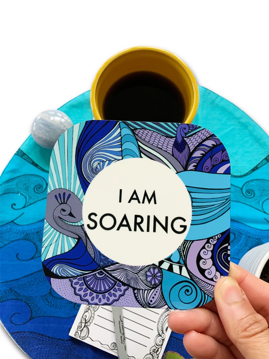 COASTERS-I AM-soaring-8