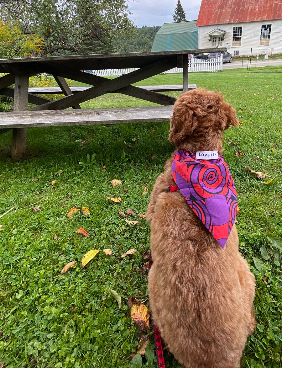 pet-bandana-purple-red