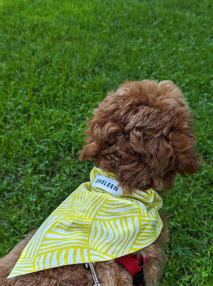 pet-bandana-yellow-playful-spirit