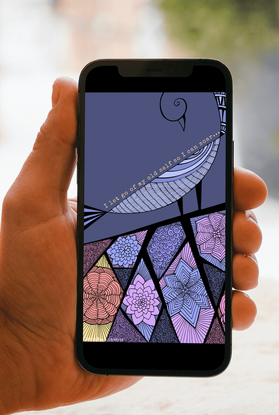 Screensaver-soar-final